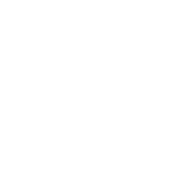 SOP, Essays & LOR Development